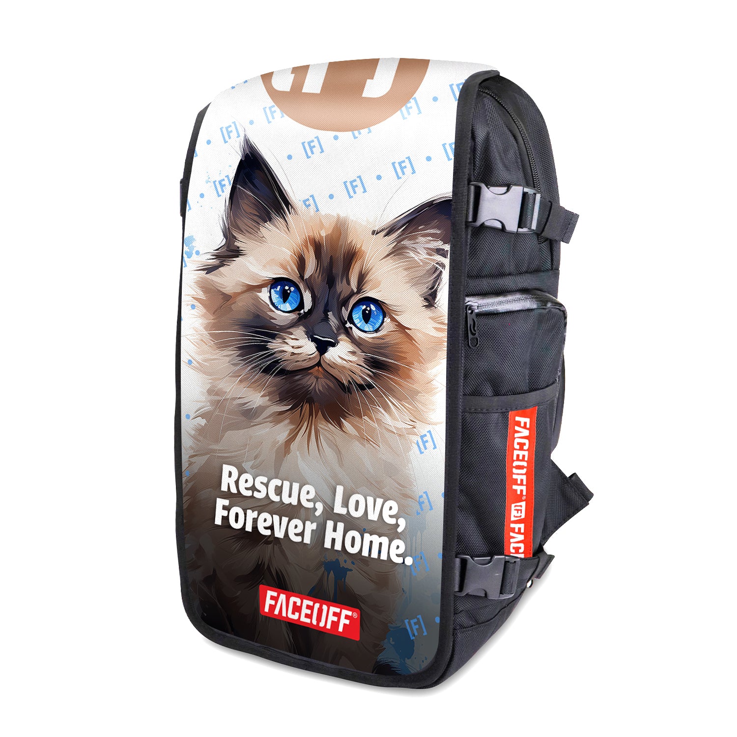 Birman Kitten - Large