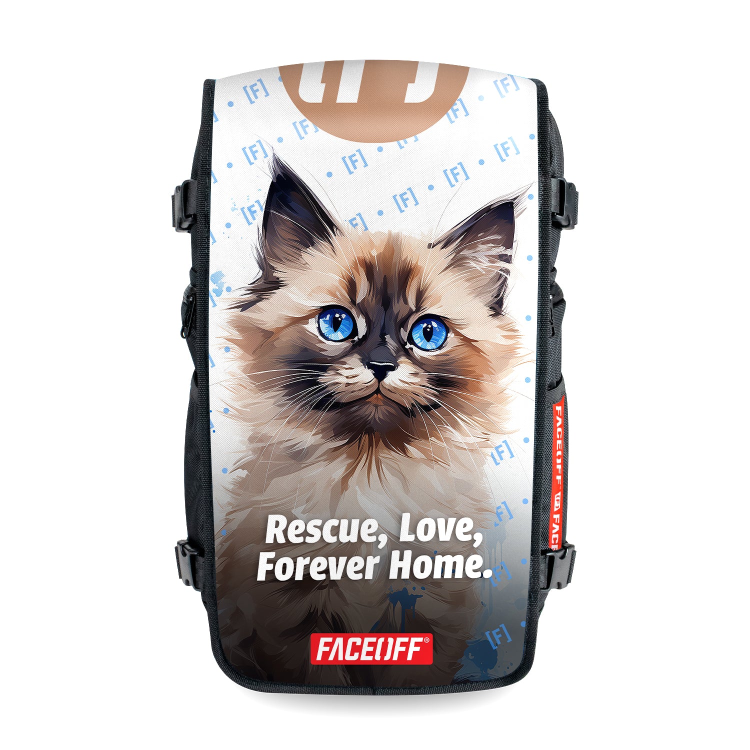 Birman Kitten - Large