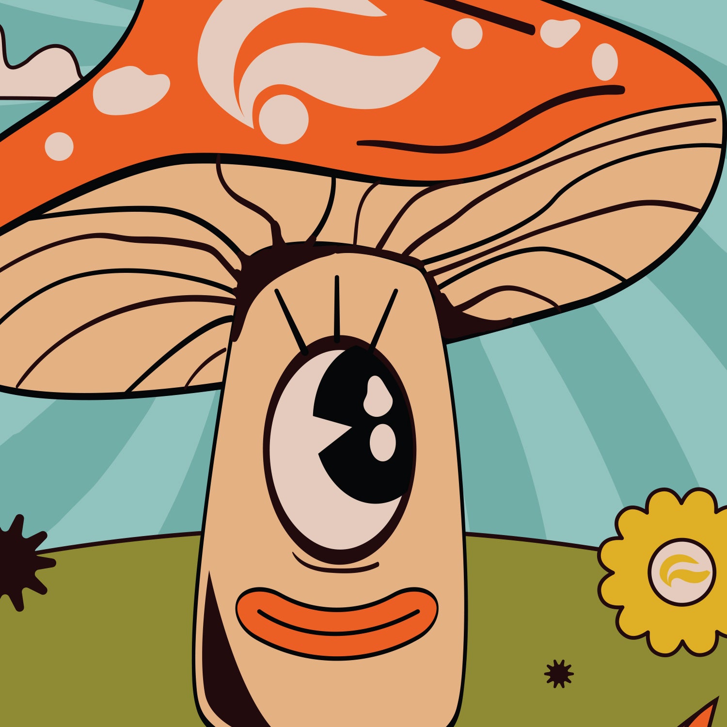Mushrooms - Medium